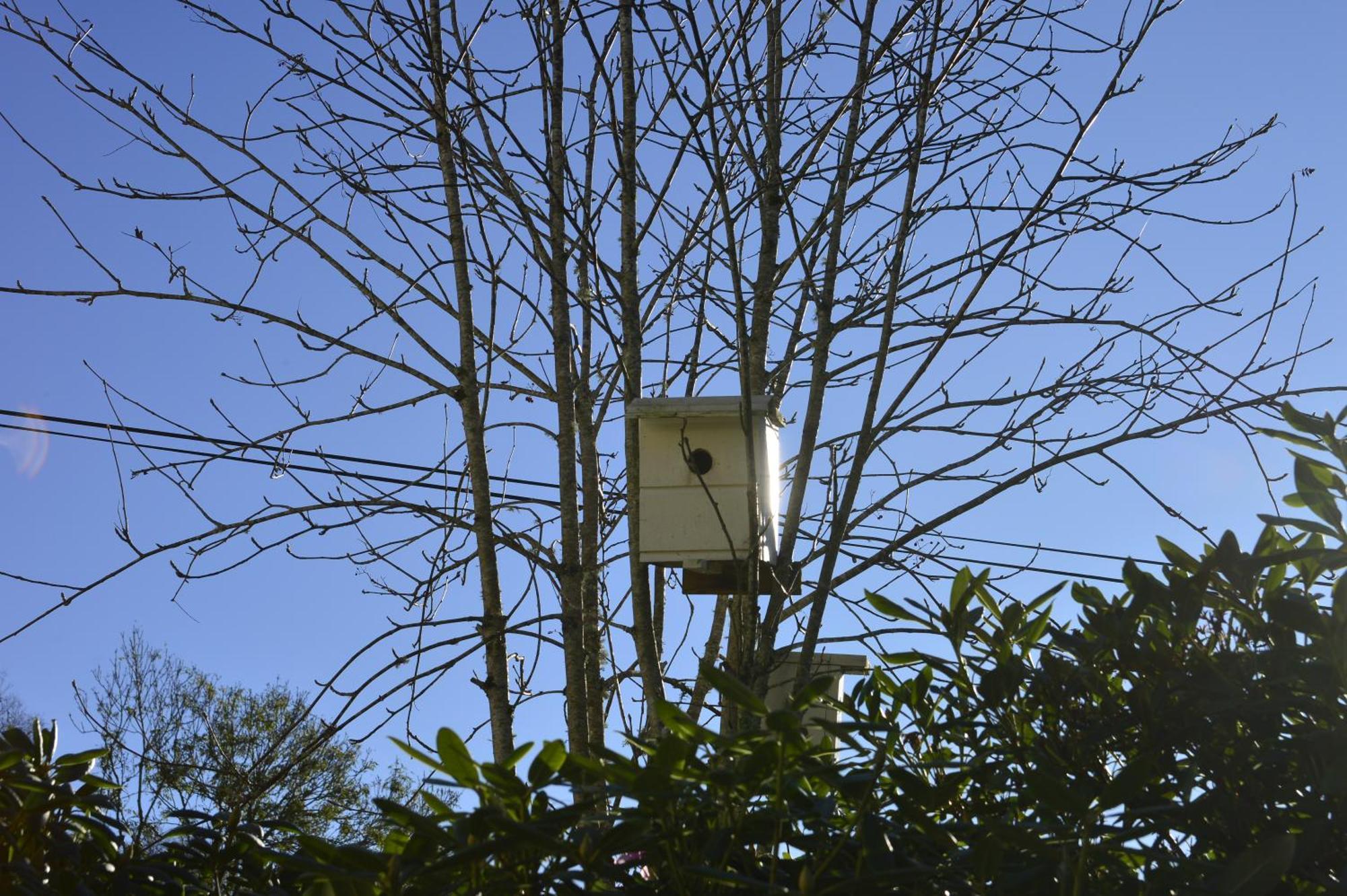 Guesthouse In Manger, Radoy Island Kolstad Exterior photo